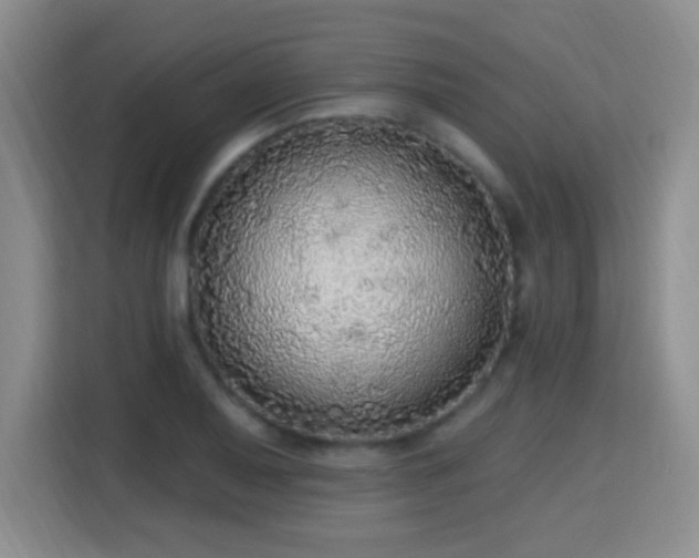 X0000115361079200911101151