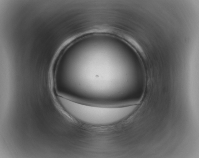 X0000115361080200911101151
