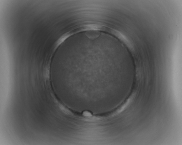 X0000115361081200911101151