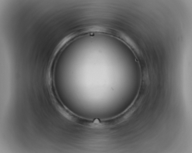 X0000115361082200911101151