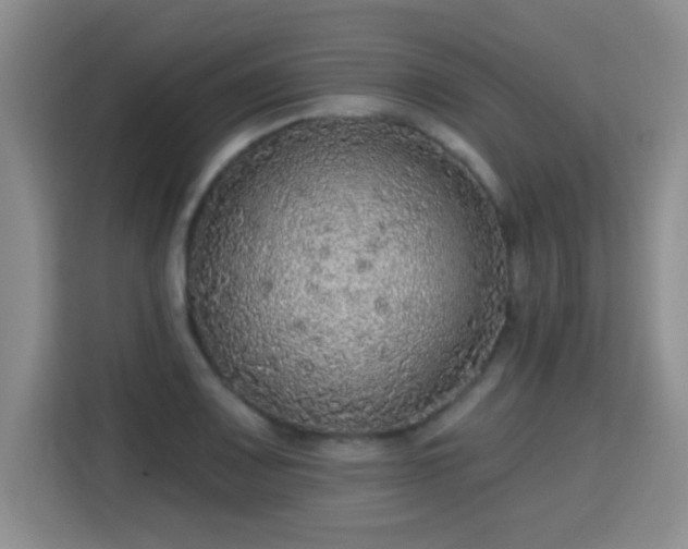X0000115361083200911101151