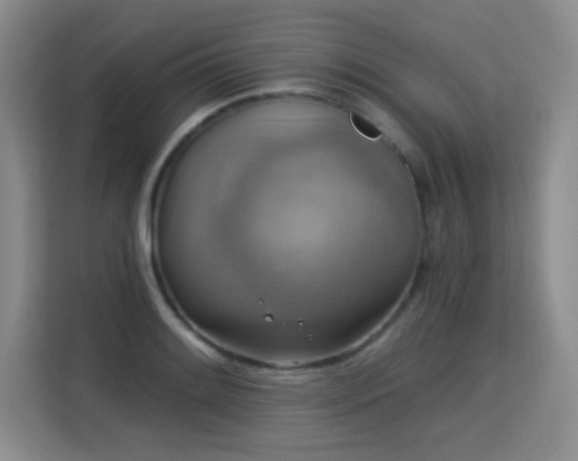 X0000115361084200911101151