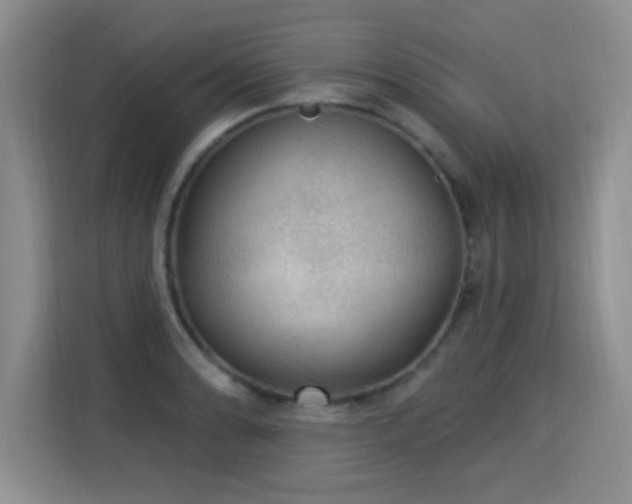 X0000115361086200911101151