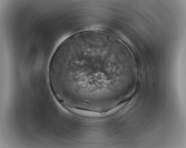 X0000115361087200911101151