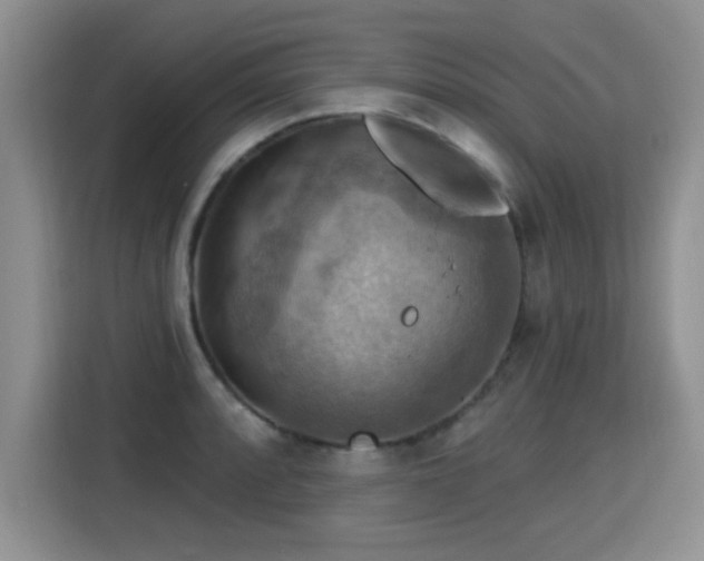 X0000115361088200911101151
