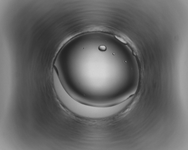 X0000115361089200911101151
