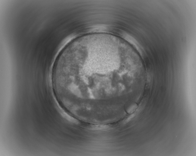 X0000115361090200911101151