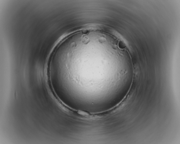X0000115361091200911101151