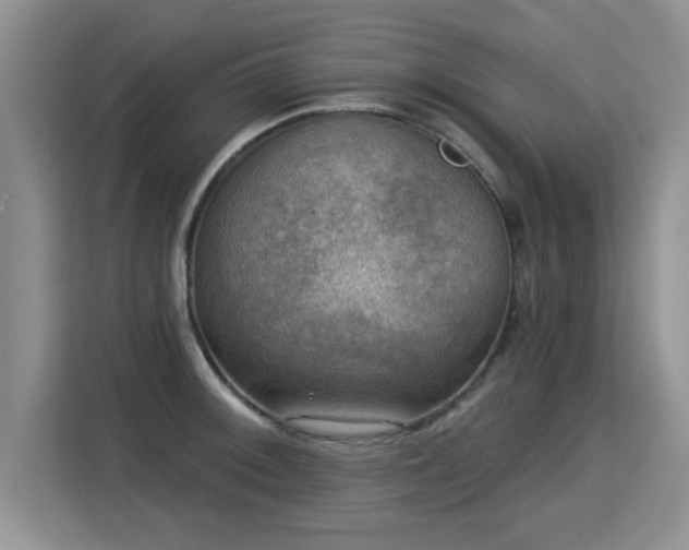X0000115361092200911101151