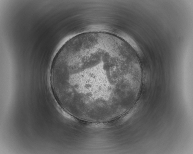 X0000115361094200911101151