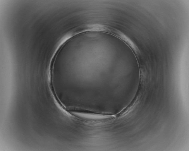 X0000115361095200911101151