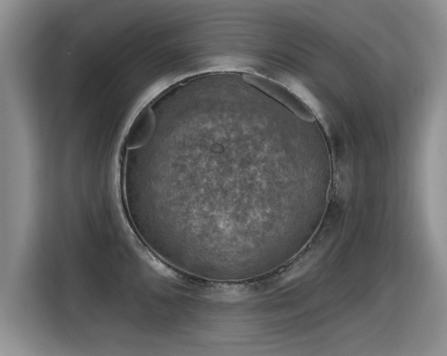 X0000115361096200911101151