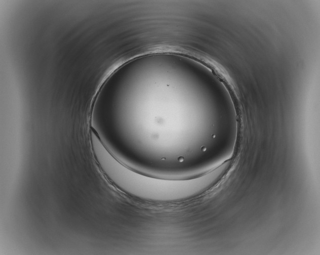 X0000115361097200911101151