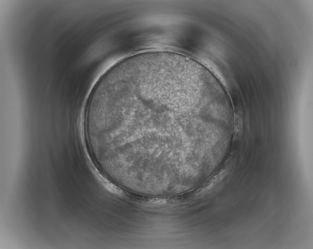X0000115361098200911101151