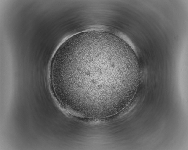 X0000115361099200911101151
