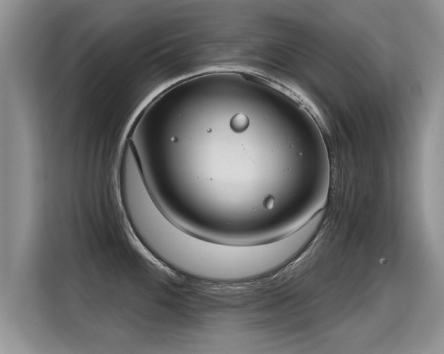 X0000115361100200911101151