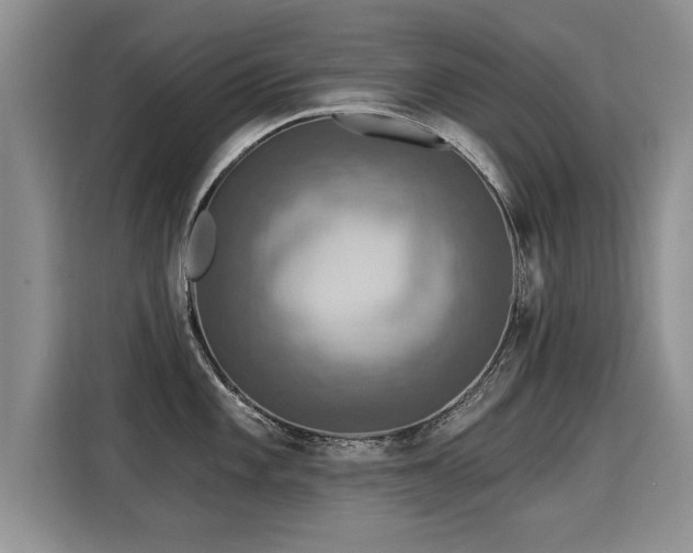 X0000115361101200911101151