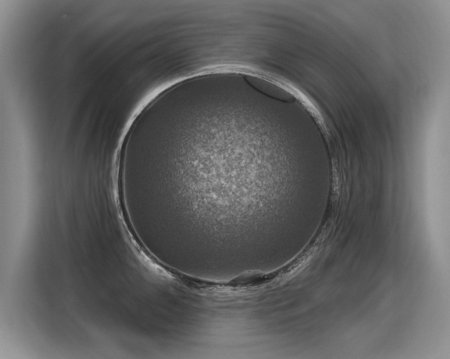X0000115361102200911101151