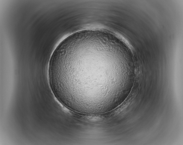 X0000115361103200911101151