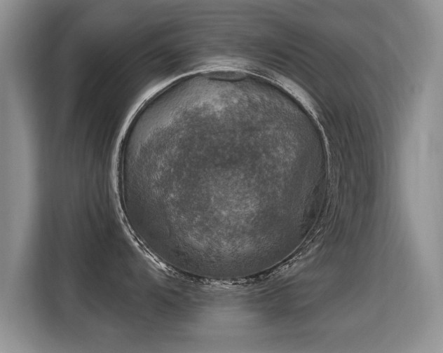 X0000115361104200911101151