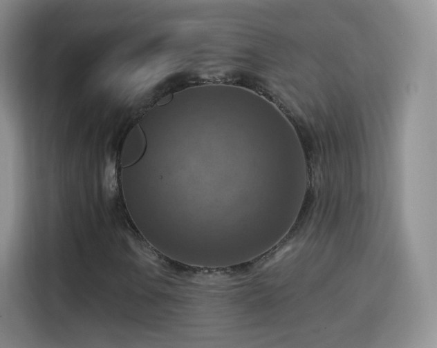 X0000115361106200911101151