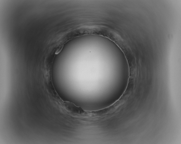 X0000115361109200911101151