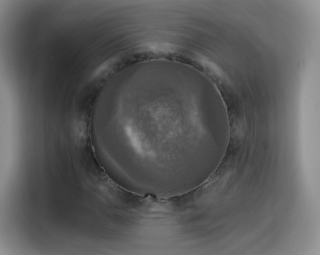 X0000115361110200911101151