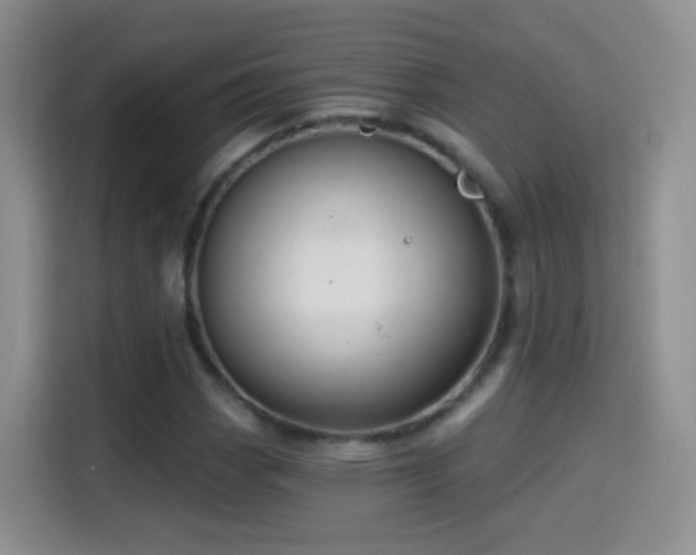 X0000115361113200911101151