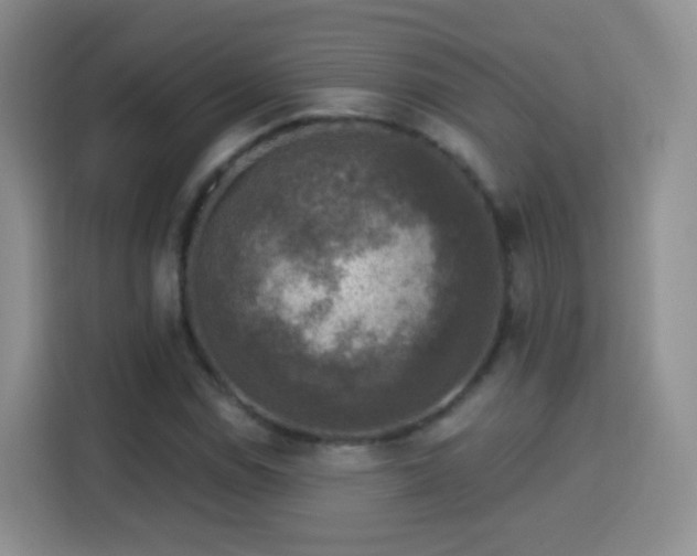 X0000115361114200911101151
