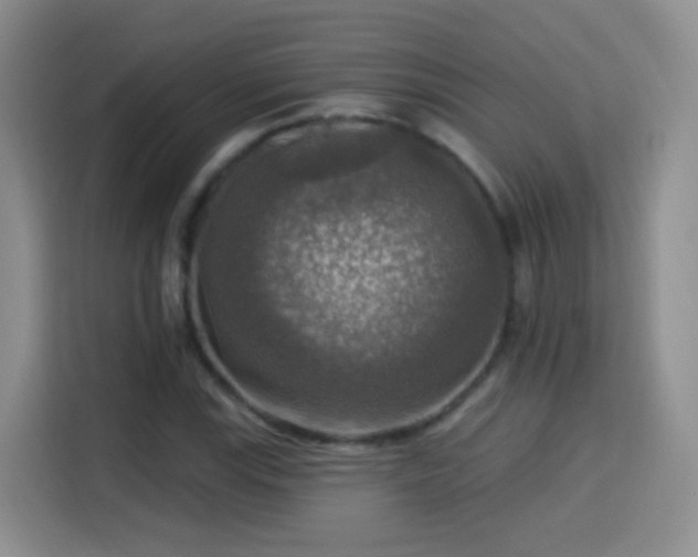 X0000115361115200911101151