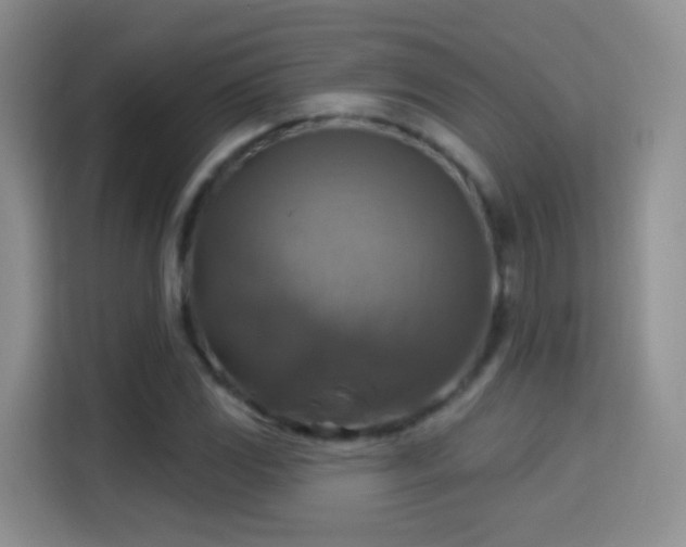X0000115361117200911101151
