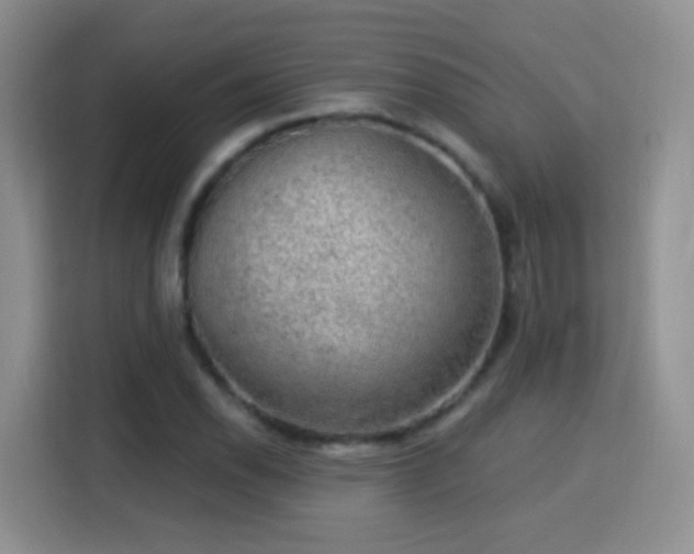 X0000115361118200911101151