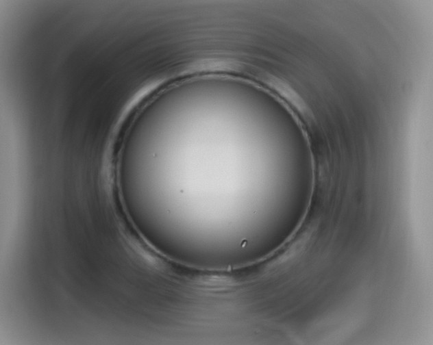 X0000115361119200911101151