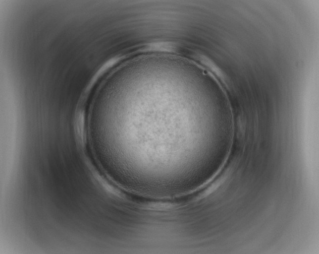 X0000115361123200911101151