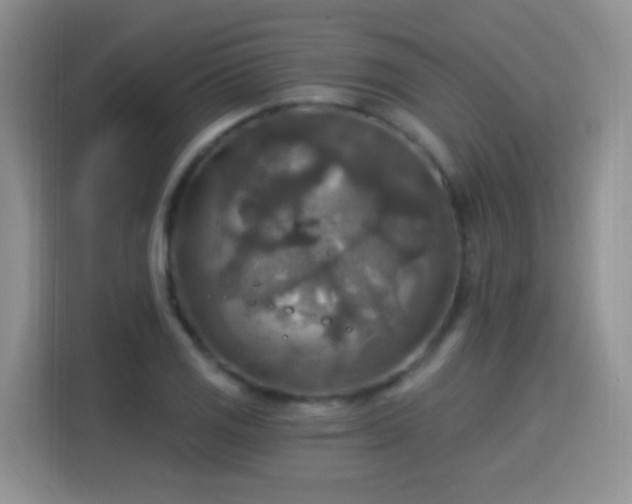 X0000115361125200911101151