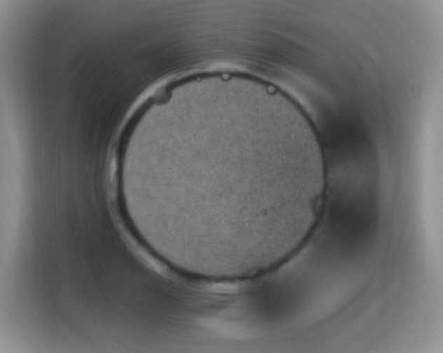X0000115361126200911101151