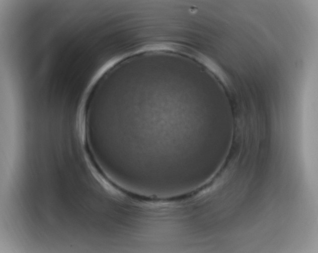 X0000115361127200911101151