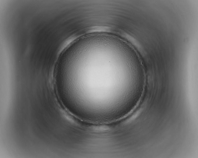 X0000115361129200911101151