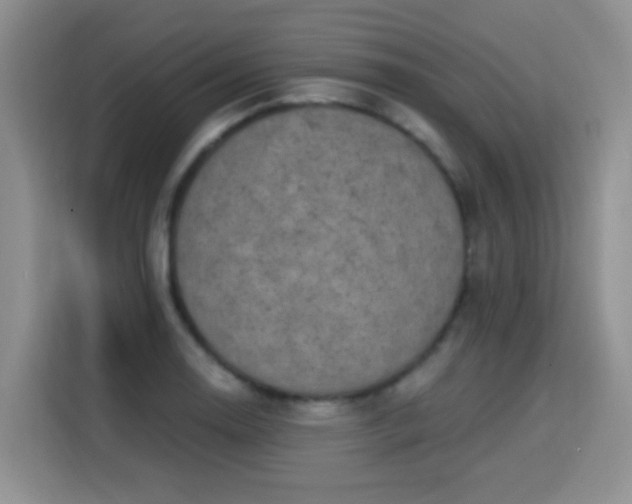 X0000115361130200911101151
