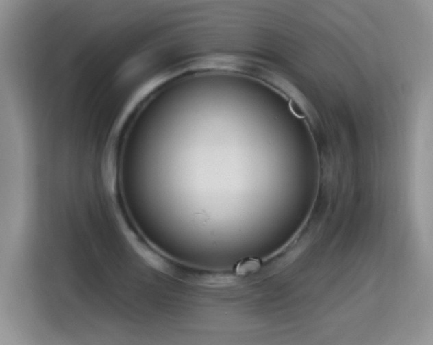 X0000115361131200911101151