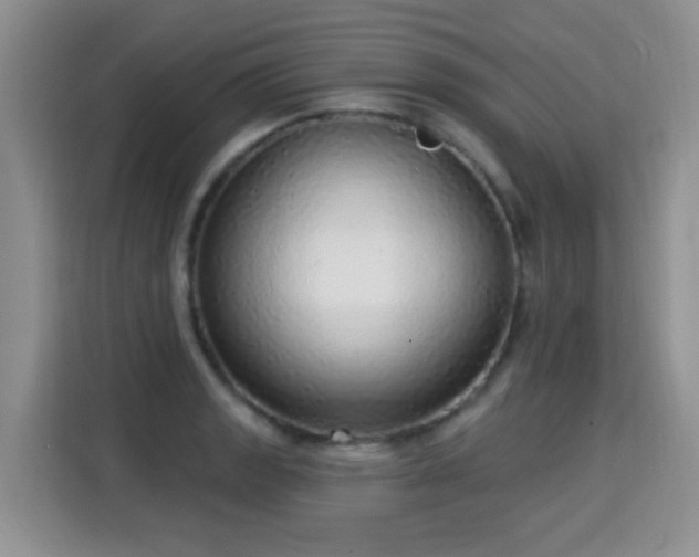 X0000115361133200911101151