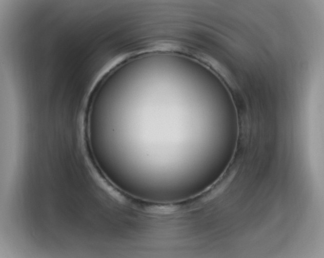 X0000115361134200911101151