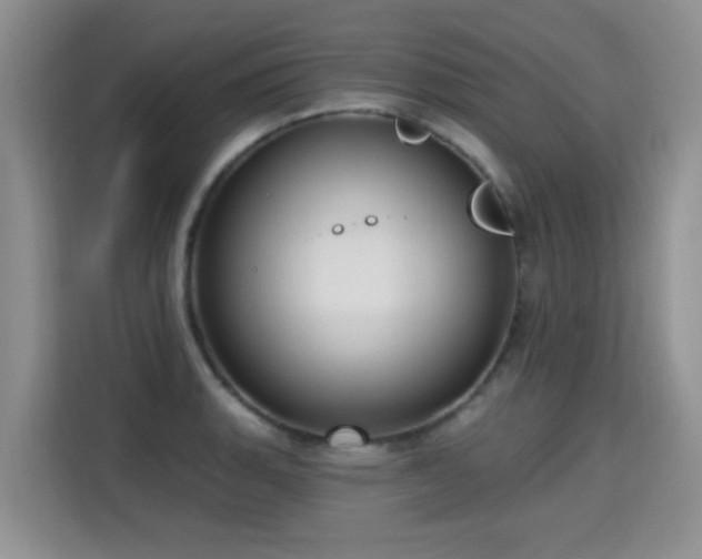 X0000115361135200911101151