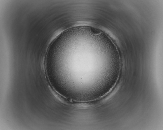 X0000115361137200911101151