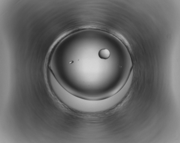 X0000115361138200911101151