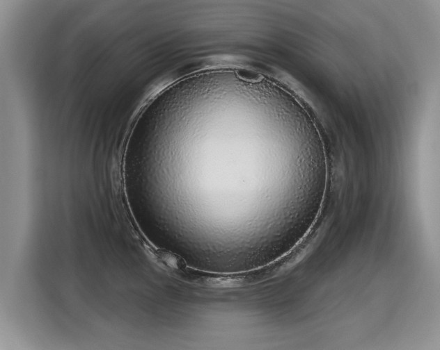 X0000115361145200911101151