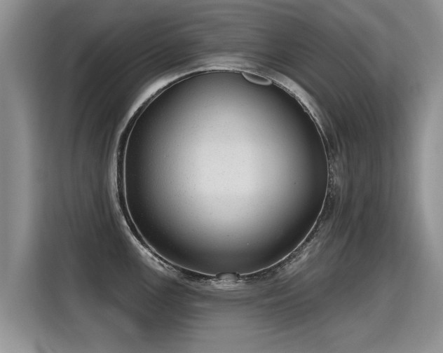 X0000115361147200911101151