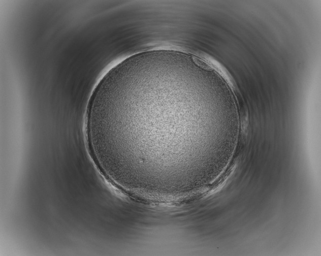 X0000115361149200911101151