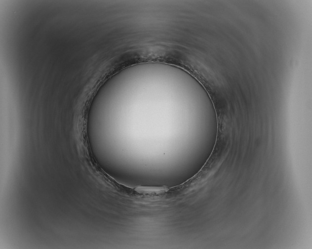 X0000115361153200911101151