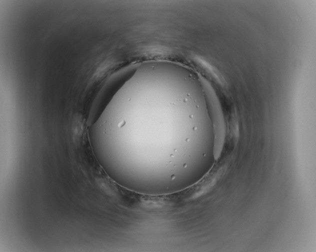 X0000115361157200911101150
